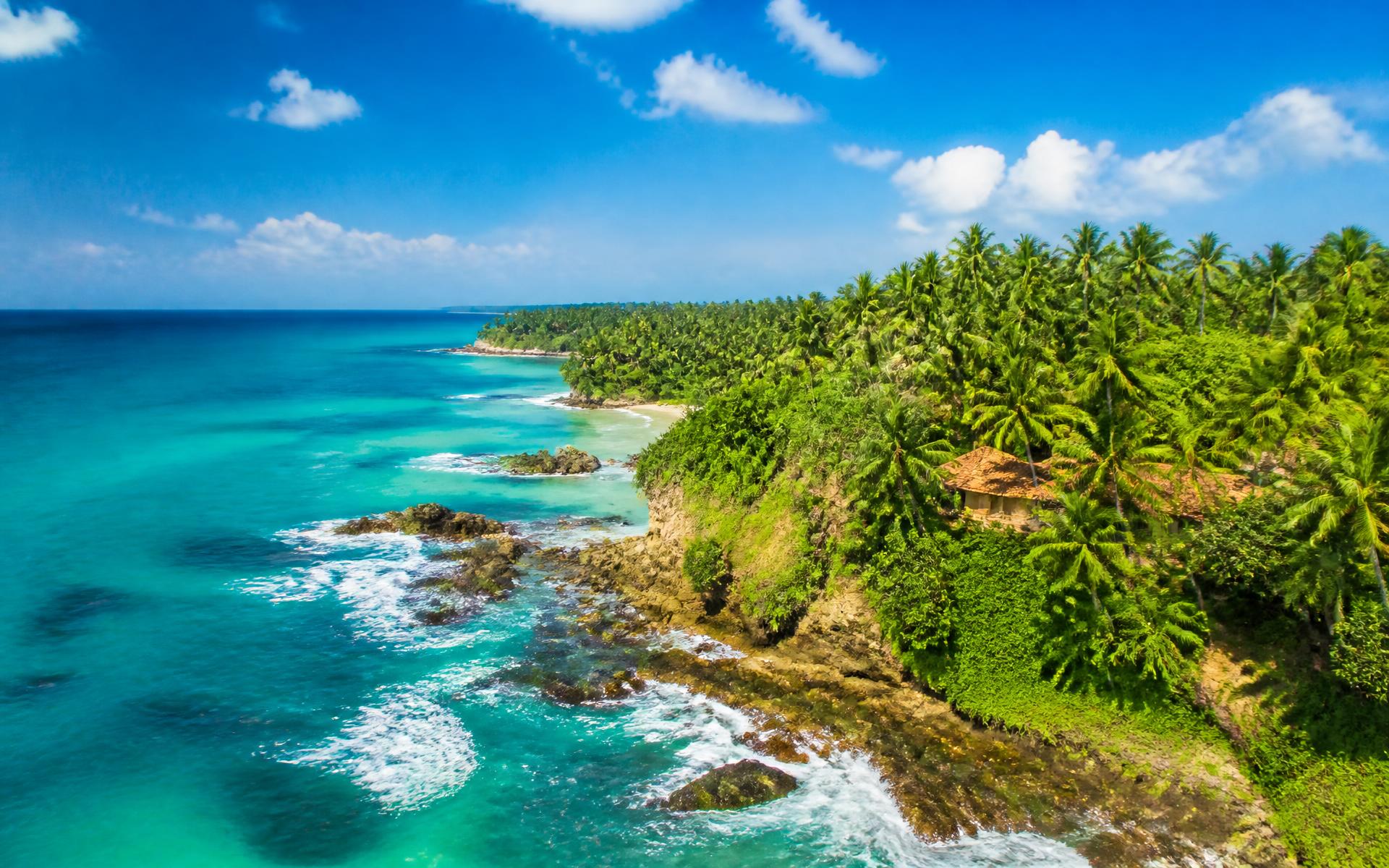 Turquoise tropical coastline framed by palm forest in Southeast Asia